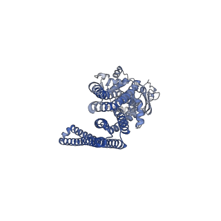 21357_6vqu_A_v1-2
Structure of a bacterial Atm1-family ABC exporter