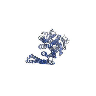 21357_6vqu_A_v1-3
Structure of a bacterial Atm1-family ABC exporter