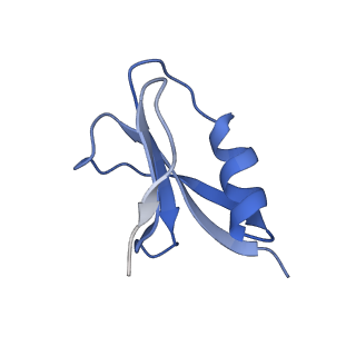 21358_6vqv_A_v1-3
Type I-F CRISPR-Csy complex with its inhibitor AcrF9