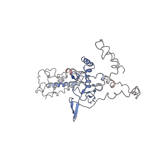 21358_6vqv_C_v1-2
Type I-F CRISPR-Csy complex with its inhibitor AcrF9