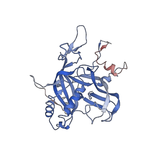 21358_6vqv_D_v1-2
Type I-F CRISPR-Csy complex with its inhibitor AcrF9