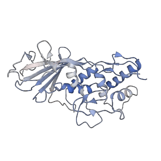 21358_6vqv_E_v1-2
Type I-F CRISPR-Csy complex with its inhibitor AcrF9
