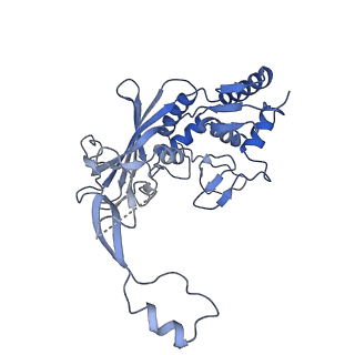 21358_6vqv_F_v1-2
Type I-F CRISPR-Csy complex with its inhibitor AcrF9
