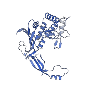 21358_6vqv_G_v1-2
Type I-F CRISPR-Csy complex with its inhibitor AcrF9