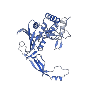 21358_6vqv_G_v1-3
Type I-F CRISPR-Csy complex with its inhibitor AcrF9