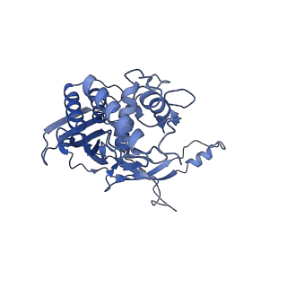 21358_6vqv_H_v1-2
Type I-F CRISPR-Csy complex with its inhibitor AcrF9