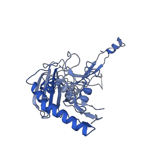 21358_6vqv_I_v1-2
Type I-F CRISPR-Csy complex with its inhibitor AcrF9