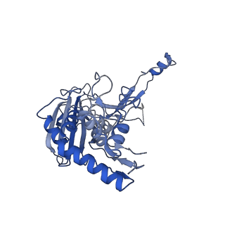 21358_6vqv_I_v1-3
Type I-F CRISPR-Csy complex with its inhibitor AcrF9