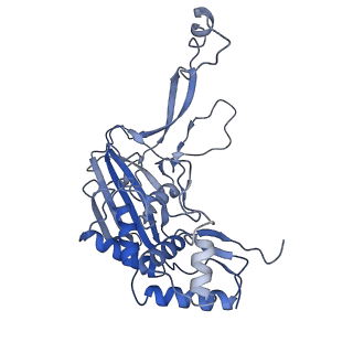 21358_6vqv_J_v1-2
Type I-F CRISPR-Csy complex with its inhibitor AcrF9