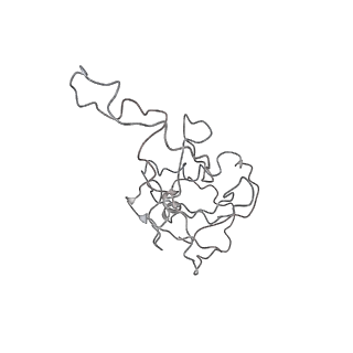 21358_6vqv_K_v1-2
Type I-F CRISPR-Csy complex with its inhibitor AcrF9