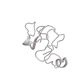 21359_6vqw_A_v1-2
Type I-F CRISPR-Csy complex with its inhibitor AcrF8