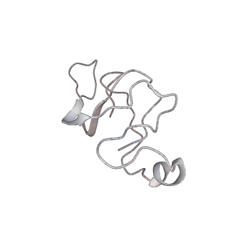 21359_6vqw_A_v1-3
Type I-F CRISPR-Csy complex with its inhibitor AcrF8