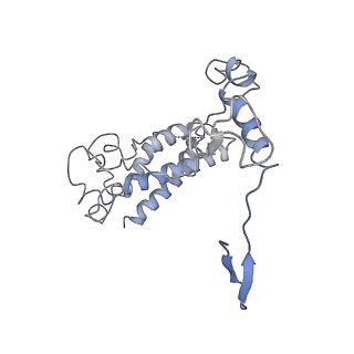 21359_6vqw_B_v1-2
Type I-F CRISPR-Csy complex with its inhibitor AcrF8