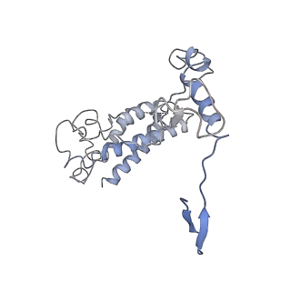 21359_6vqw_B_v1-3
Type I-F CRISPR-Csy complex with its inhibitor AcrF8