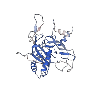 21359_6vqw_C_v1-2
Type I-F CRISPR-Csy complex with its inhibitor AcrF8