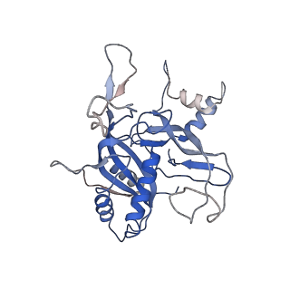 21359_6vqw_C_v1-3
Type I-F CRISPR-Csy complex with its inhibitor AcrF8