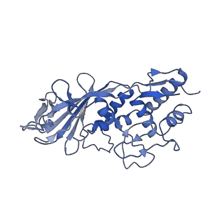 21359_6vqw_D_v1-2
Type I-F CRISPR-Csy complex with its inhibitor AcrF8