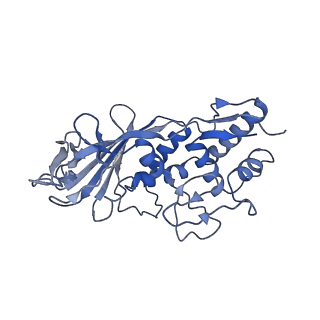 21359_6vqw_D_v1-3
Type I-F CRISPR-Csy complex with its inhibitor AcrF8