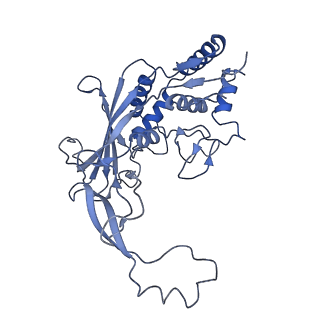 21359_6vqw_E_v1-2
Type I-F CRISPR-Csy complex with its inhibitor AcrF8