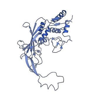 21359_6vqw_E_v1-3
Type I-F CRISPR-Csy complex with its inhibitor AcrF8