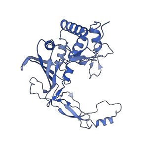 21359_6vqw_F_v1-2
Type I-F CRISPR-Csy complex with its inhibitor AcrF8