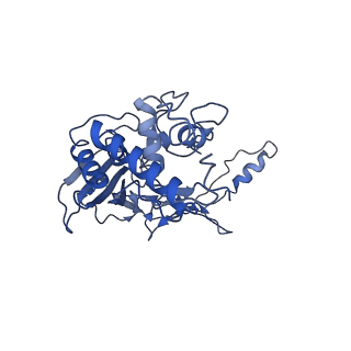 21359_6vqw_G_v1-2
Type I-F CRISPR-Csy complex with its inhibitor AcrF8