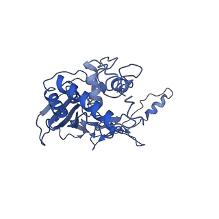 21359_6vqw_G_v1-3
Type I-F CRISPR-Csy complex with its inhibitor AcrF8