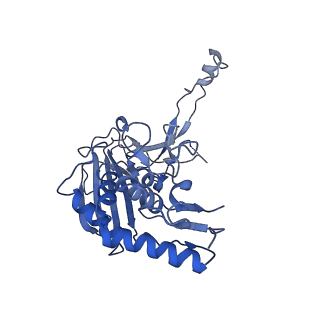 21359_6vqw_H_v1-2
Type I-F CRISPR-Csy complex with its inhibitor AcrF8
