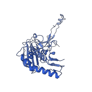 21359_6vqw_H_v1-3
Type I-F CRISPR-Csy complex with its inhibitor AcrF8