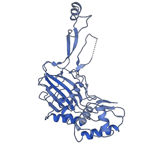 21359_6vqw_I_v1-2
Type I-F CRISPR-Csy complex with its inhibitor AcrF8