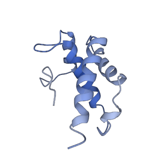 21360_6vqx_A_v1-2
Type I-F CRISPR-Csy complex with its inhibitor AcrF6