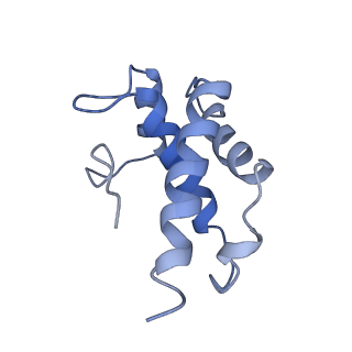 21360_6vqx_A_v1-3
Type I-F CRISPR-Csy complex with its inhibitor AcrF6