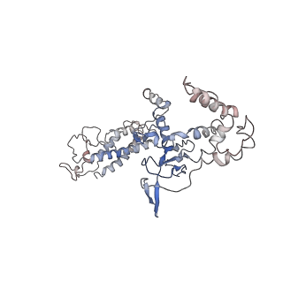 21360_6vqx_B_v1-2
Type I-F CRISPR-Csy complex with its inhibitor AcrF6