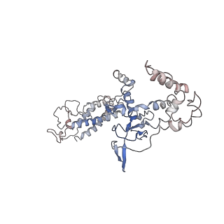 21360_6vqx_B_v1-3
Type I-F CRISPR-Csy complex with its inhibitor AcrF6