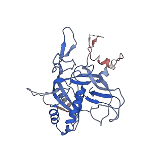 21360_6vqx_C_v1-2
Type I-F CRISPR-Csy complex with its inhibitor AcrF6