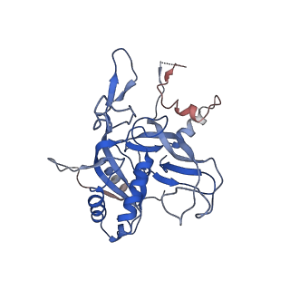 21360_6vqx_C_v1-3
Type I-F CRISPR-Csy complex with its inhibitor AcrF6