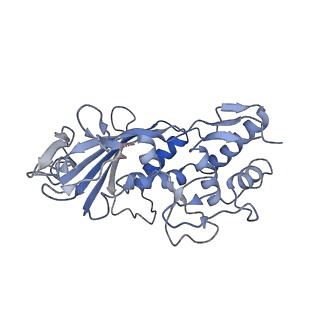21360_6vqx_D_v1-2
Type I-F CRISPR-Csy complex with its inhibitor AcrF6