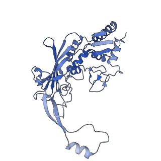 21360_6vqx_E_v1-2
Type I-F CRISPR-Csy complex with its inhibitor AcrF6