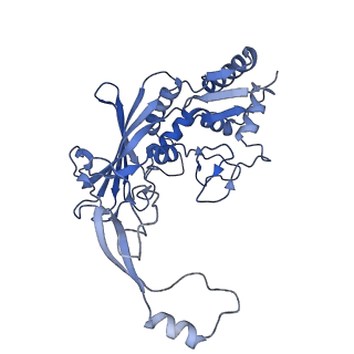 21360_6vqx_E_v1-3
Type I-F CRISPR-Csy complex with its inhibitor AcrF6