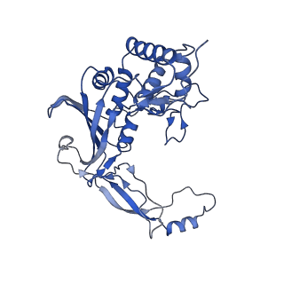 21360_6vqx_F_v1-2
Type I-F CRISPR-Csy complex with its inhibitor AcrF6