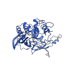 21360_6vqx_G_v1-2
Type I-F CRISPR-Csy complex with its inhibitor AcrF6