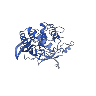 21360_6vqx_G_v1-3
Type I-F CRISPR-Csy complex with its inhibitor AcrF6