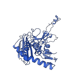 21360_6vqx_H_v1-2
Type I-F CRISPR-Csy complex with its inhibitor AcrF6