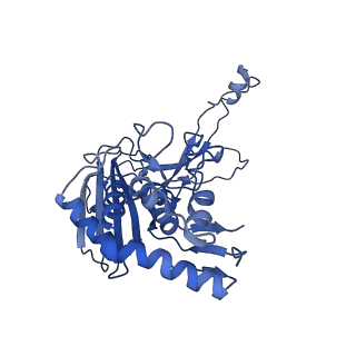 21360_6vqx_H_v1-3
Type I-F CRISPR-Csy complex with its inhibitor AcrF6