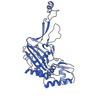21360_6vqx_I_v1-2
Type I-F CRISPR-Csy complex with its inhibitor AcrF6