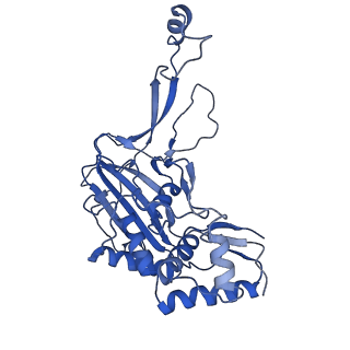 21360_6vqx_I_v1-3
Type I-F CRISPR-Csy complex with its inhibitor AcrF6