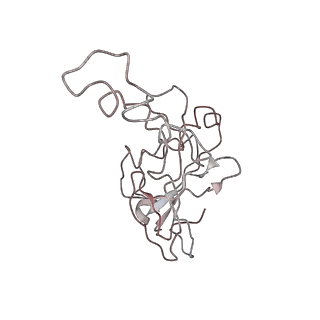 21360_6vqx_J_v1-2
Type I-F CRISPR-Csy complex with its inhibitor AcrF6