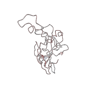 21360_6vqx_J_v1-3
Type I-F CRISPR-Csy complex with its inhibitor AcrF6