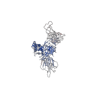32078_7vq0_C_v1-0
Cryo-EM structure of the SARS-CoV-2 spike protein (2-up RBD) bound to neutralizing nanobodies P86
