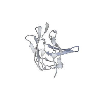 32078_7vq0_D_v1-0
Cryo-EM structure of the SARS-CoV-2 spike protein (2-up RBD) bound to neutralizing nanobodies P86
